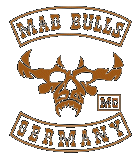 Mad Bulls Logo